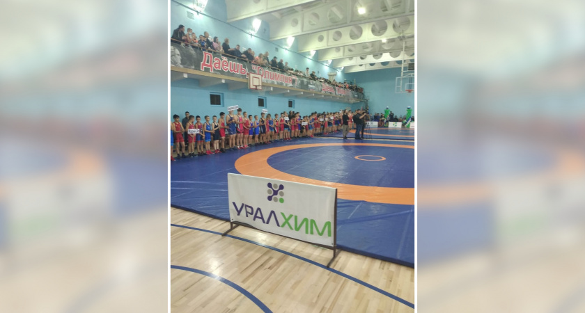 В Кирово-Чепецке прошел открытый областной турнир по греко-римской борьбе