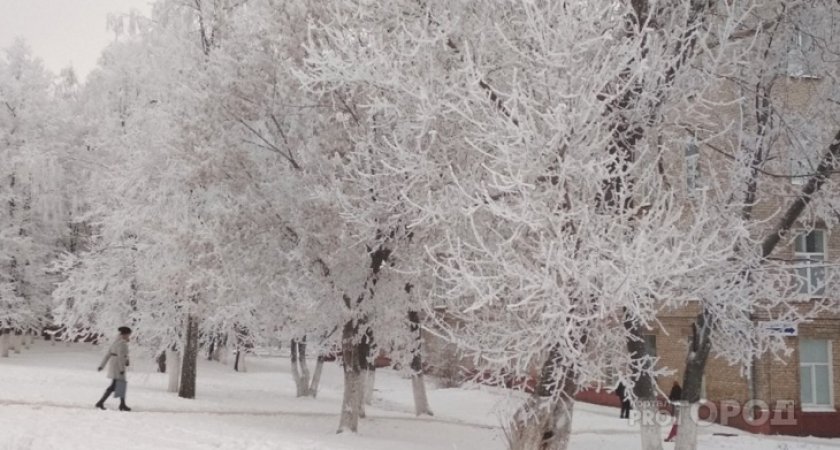 Такого холодного декабря в Кировской области не было с 2016 года: прогноз погоды на месяц