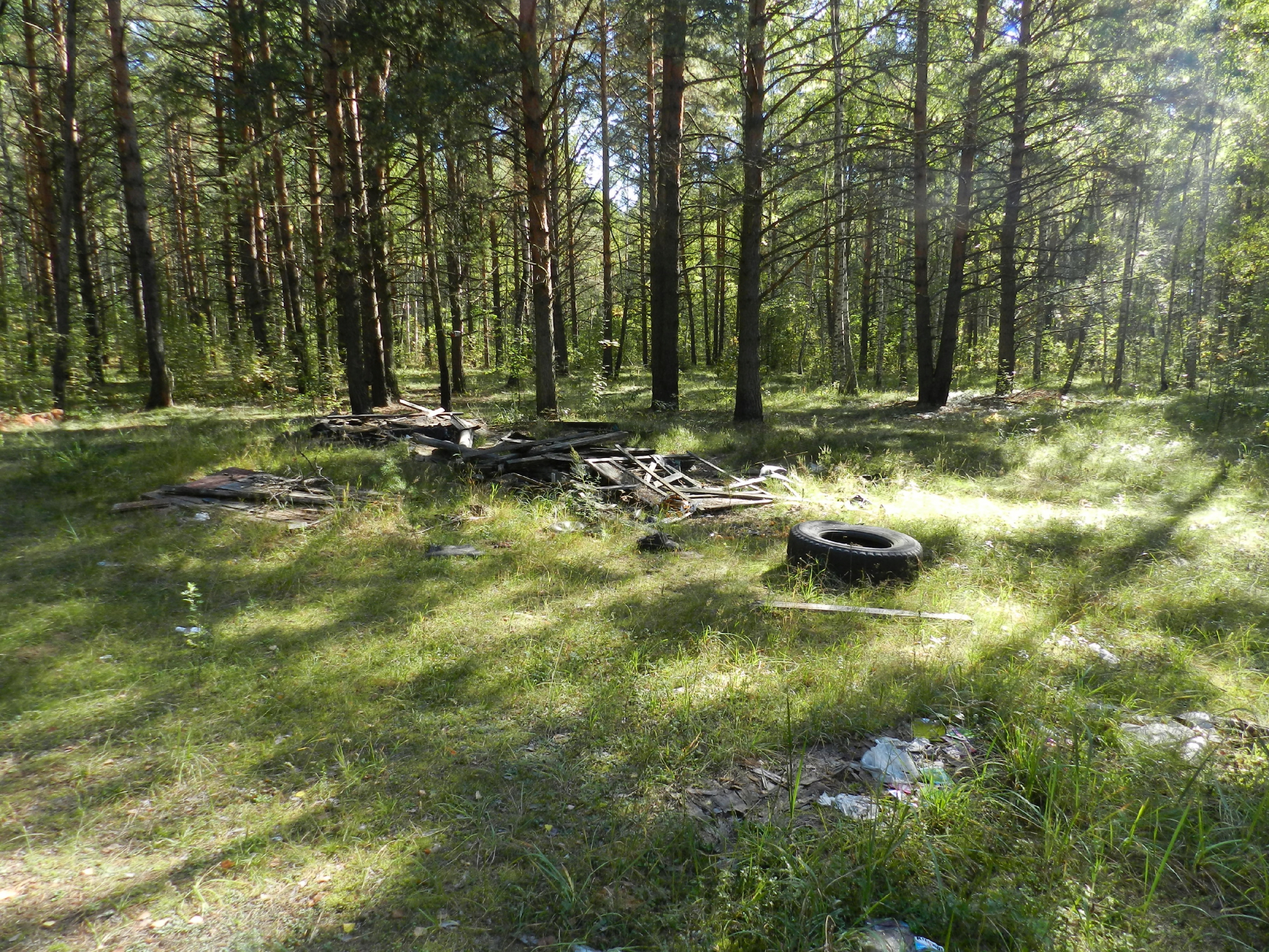 Тело 24-летнего парня обнаружили в лесу в Кировской области