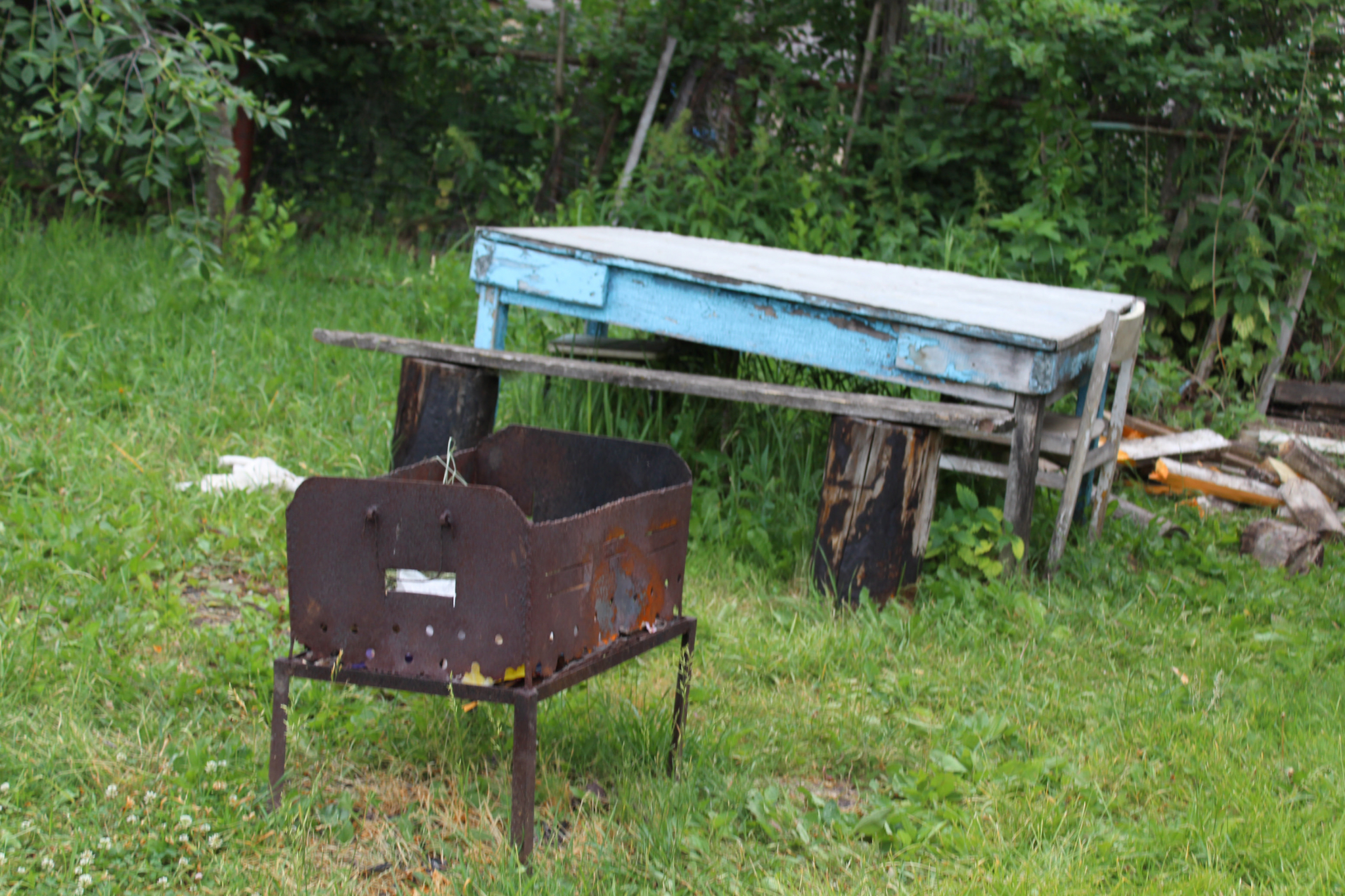 В Чепецком районе 9-летняя девочка получила ожоги на семейном пикнике