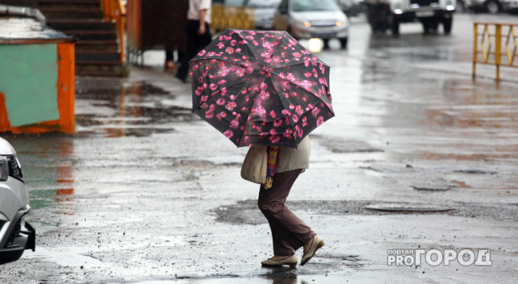 МЧС предупреждает о сильном ветре и грозах в Кировской области
