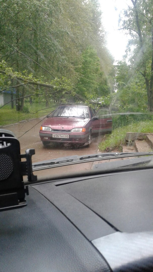 В Кирово-Чепецке на улице Ленина на машину упало дерево