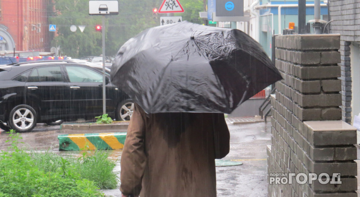 Прогноз погоды: предстоящая неделя в Чепецке будет прохладной