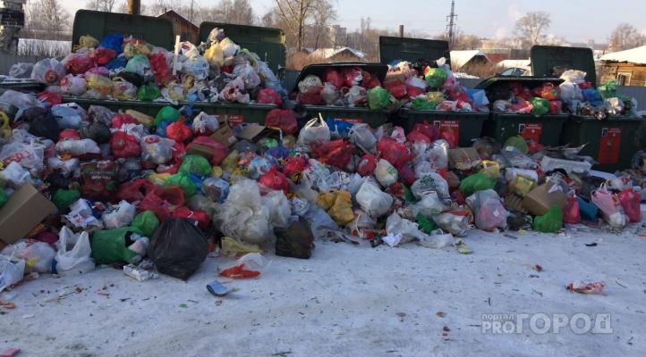 ОНФ: вывозить мусор в Кирово-Чепецком районе начнут не раньше конца января