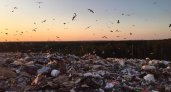 В Кировской области загорелся мусорный полигон