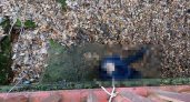 В Чепецке на улице Терещенко нашли тело мужчины: рядом лежала веревка