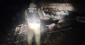 В Кировской области в обгоревшем доме нашли два тела