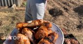 Жители Кировской области обеспокоены ростом цен на курицу