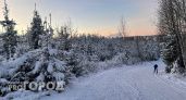 МЧС бьют тревогу из-за невыносимых морозов: температура в Кировской области упадет до -41 градуса