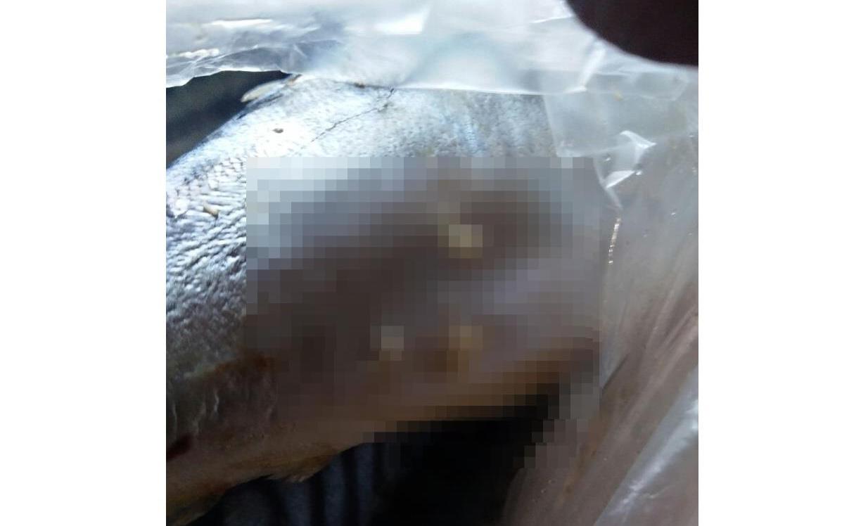 Чепчанин купил рыбу с неприятным «сюрпризом»