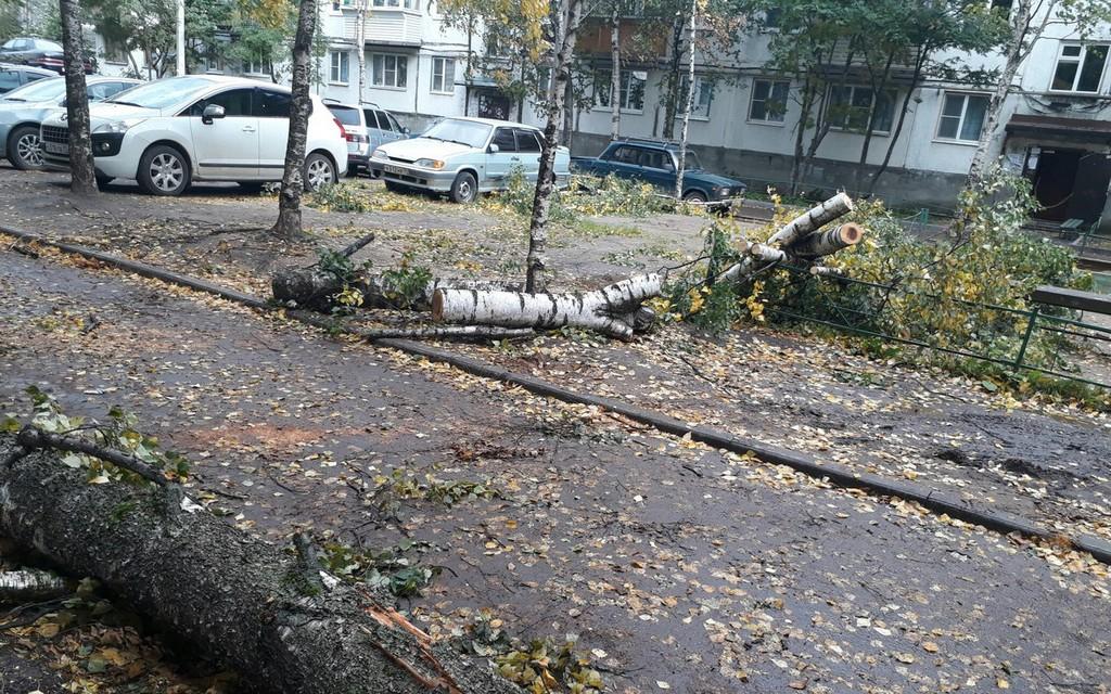 В Кировской области объявили штормовое метеопредупреждение