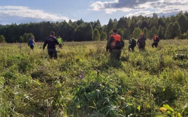 Кировчанин рассказал, как искал в лесу 5-летнюю девочку в Нижегородской области