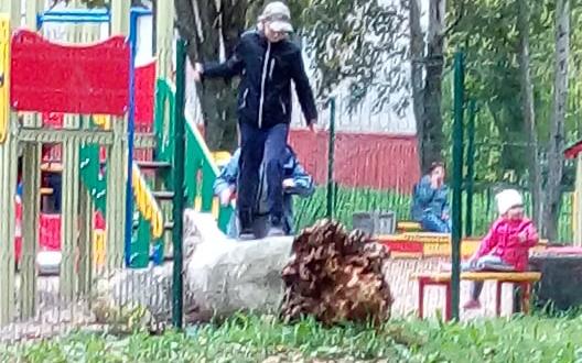 В Кирово-Чепецке на детскую площадку упало сухое дерево