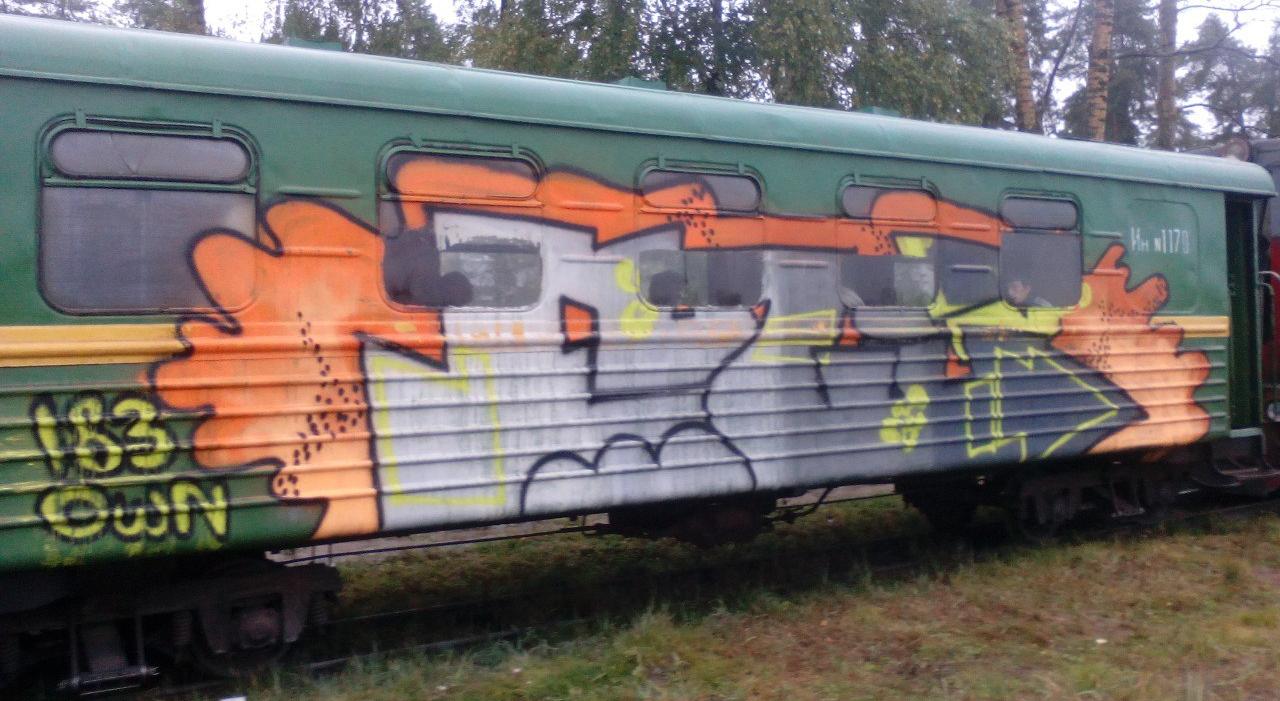 Неизвестные разрисовали вагоны поезда в Каринторфе