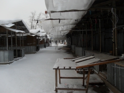 Из-за мороза в Чепецке не работает рынок: торговцы терпят огромные убытки