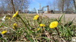 Метеорологи рассказали, какой будет весна в Кирово-Чепецке