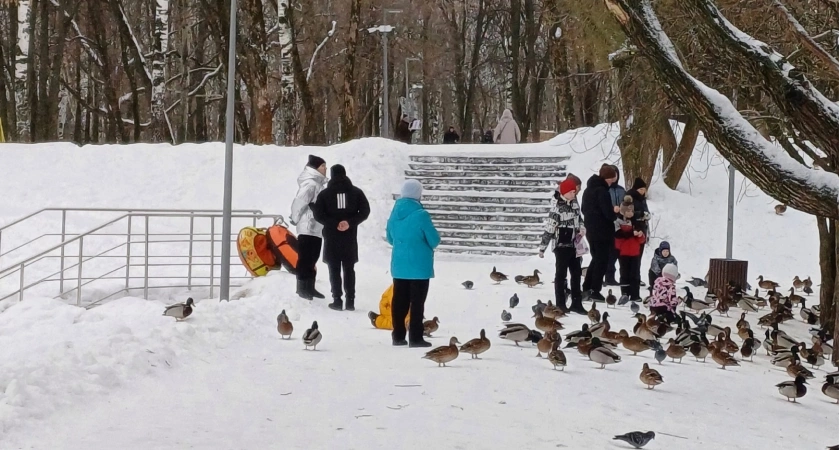 Только у одаренных людей всегда есть эта цифра в дате рождения: попробуйте проверить