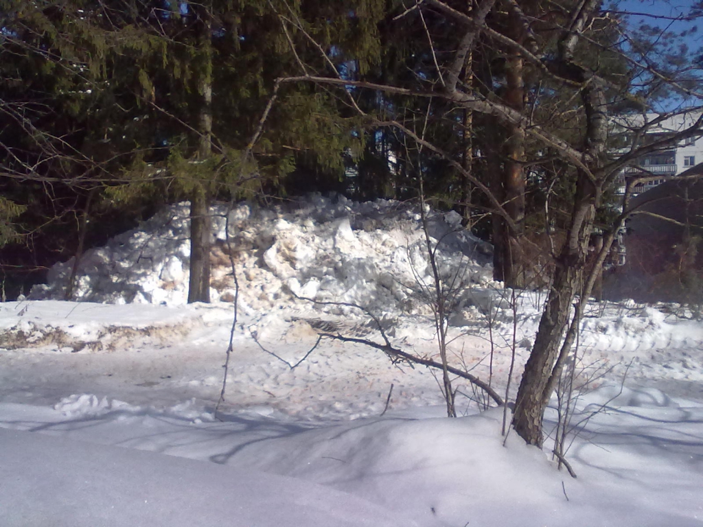 Изображение к жалобе