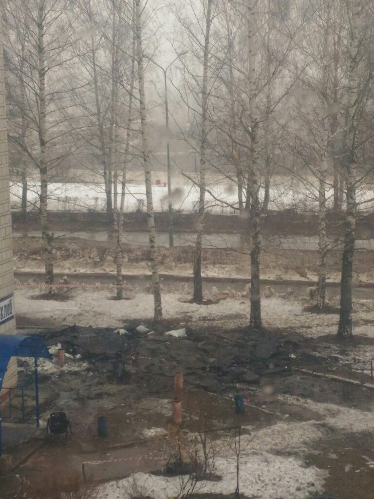 Изображение к жалобе