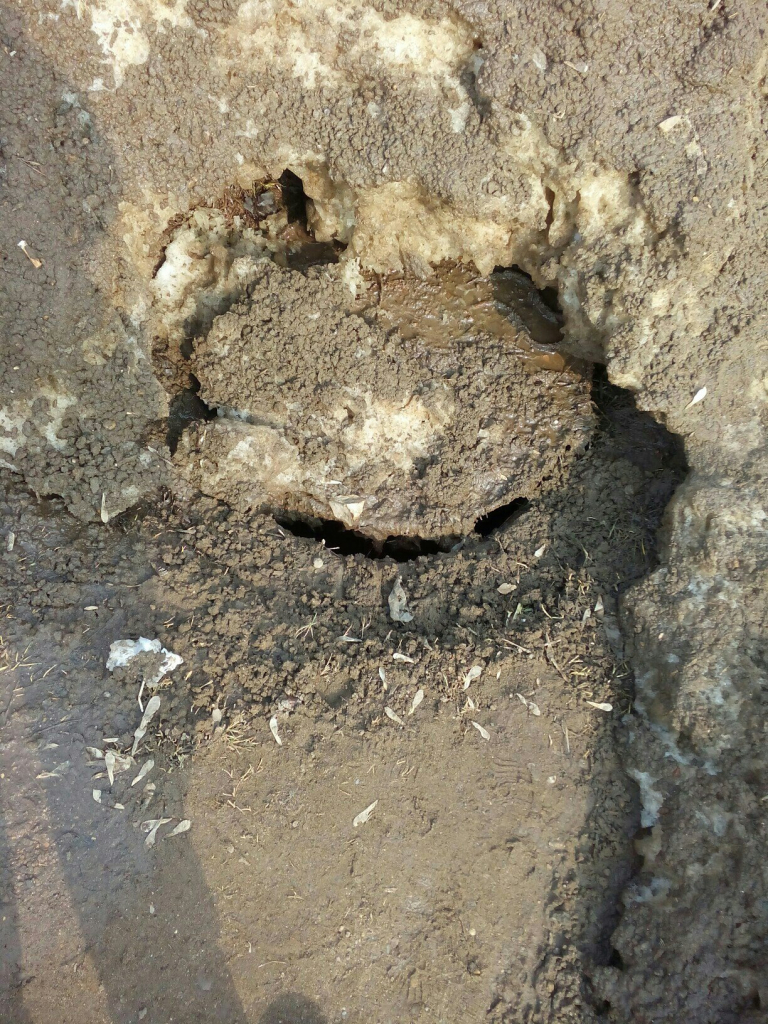 Изображение к жалобе