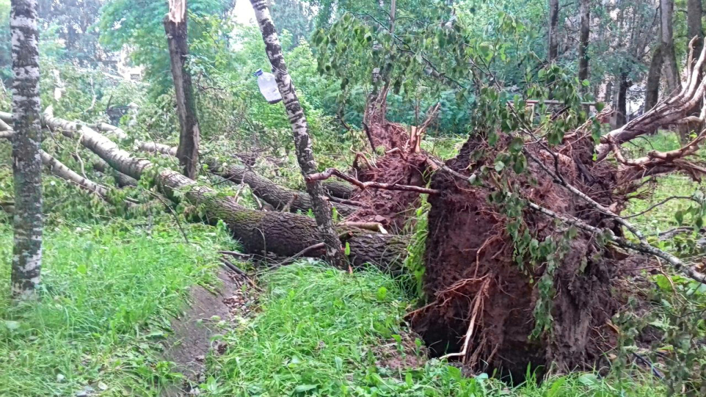 Изображение к жалобе