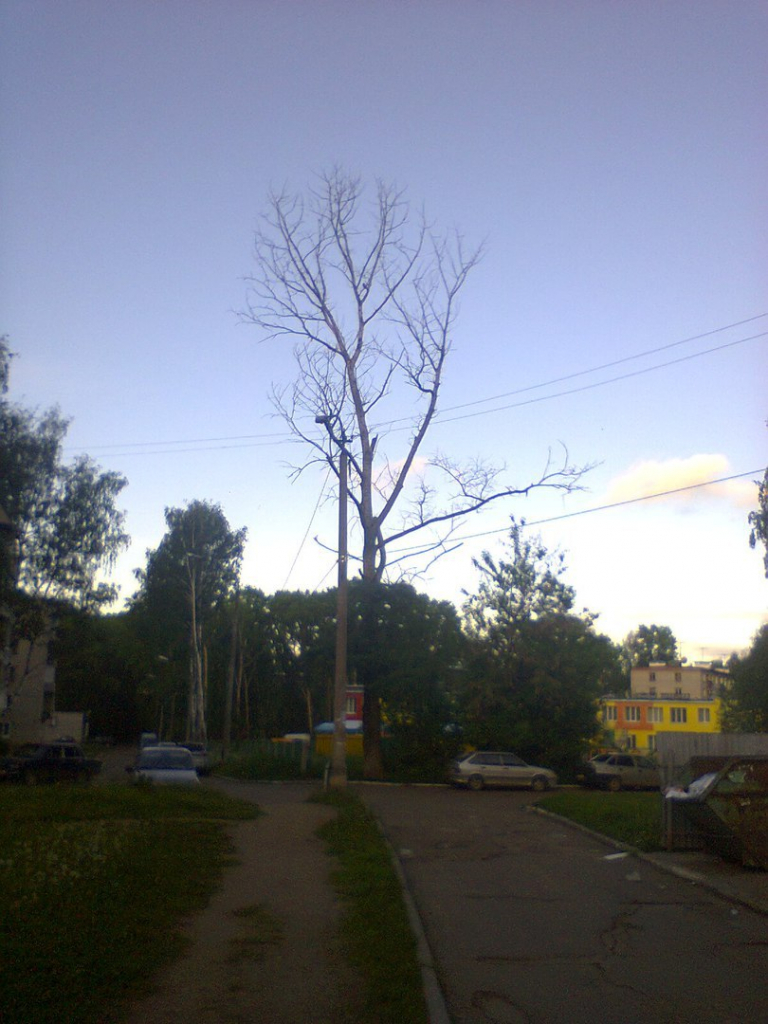 Изображение к жалобе