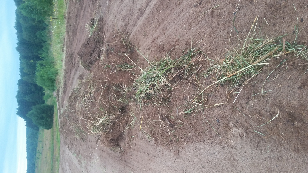 Изображение к жалобе