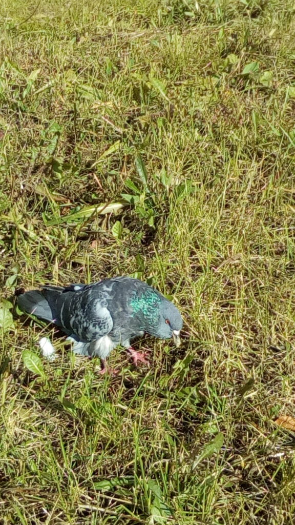 Изображение к жалобе