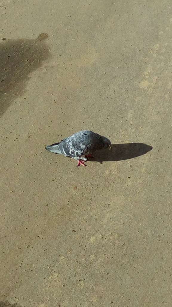 Изображение к жалобе