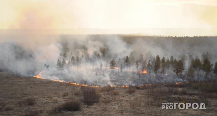 В Чепецком районе продолжает гореть лес
