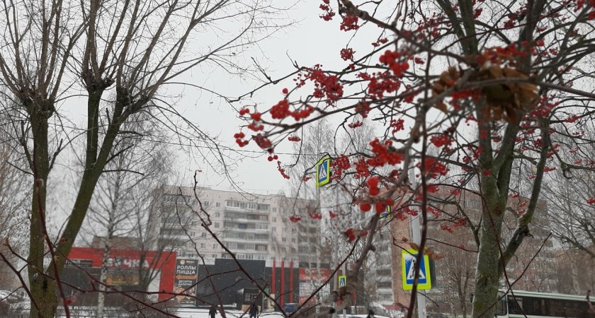 Морозы отступают: известен прогноз погоды в Чепецке  13 по 19 декабря
