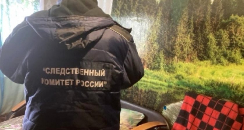 "Убил ребенка ножом и свел счеты с жизнью": в Кировской области обнаружили два тела 