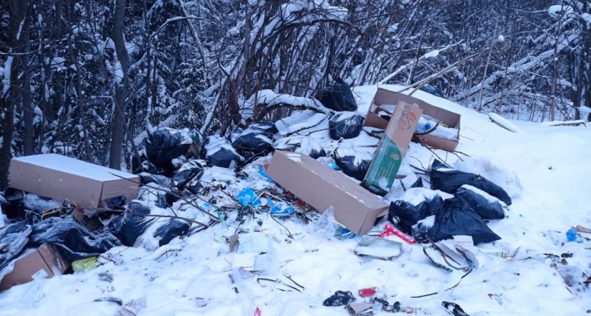 В Чепецком районе нашли незаконную свалку отходов из цветочного магазина