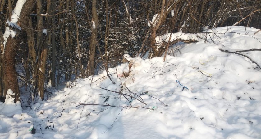 В Кирово-Чепецком районе сеть цветочных лавок убрала за собой незаконную свалку