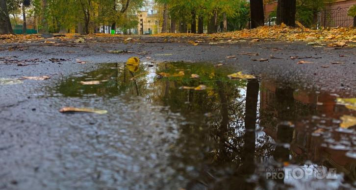 Известно, какая погода ожидает чепчан в конце второй недели сентября