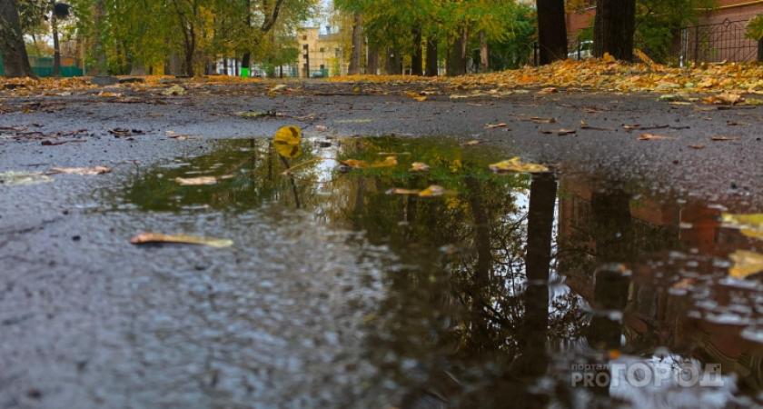 Стал известен прогноз погоды в Кирово-Чепецке на 18 и 19 сентября