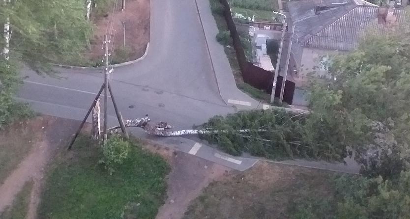 Ураган в Кирово-Чепецке повалил деревья