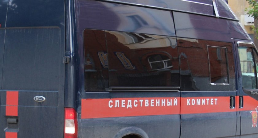 В Кирово-Чепецке мужчина до смерти забил мать телевизором