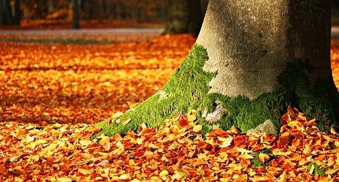 Что обсуждают в Кирово-Чепецке: прогноз погоды на сентябрь и ДТП с пострадавшими