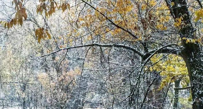 В Кирово-Чепецке ожидаются грозы и мокрый снег