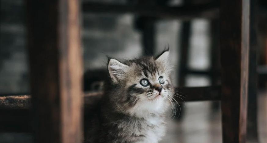 Скорпионов ждут сюрпризы, а Тельцов гармония в отношениях: гороскоп на воскресенье