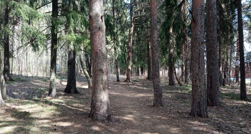 В Кирово-Чепецке остановлены поиски пропавшего 26-летнего молодого человека