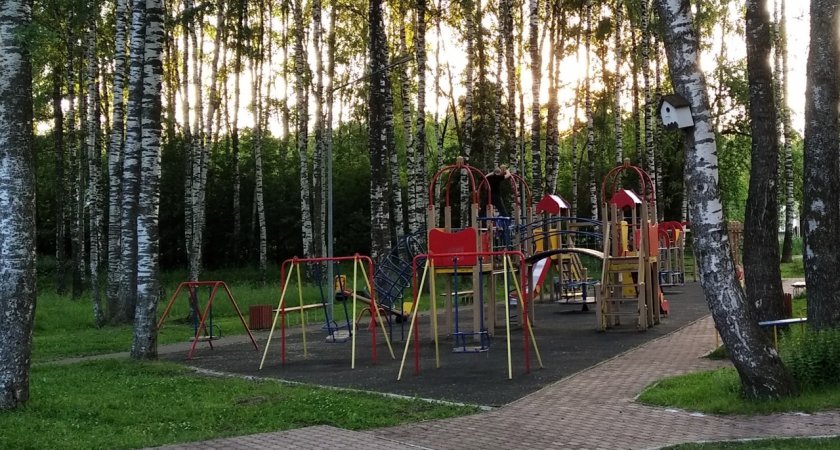 В Кировской области женщина потеряла шестилетнего сына