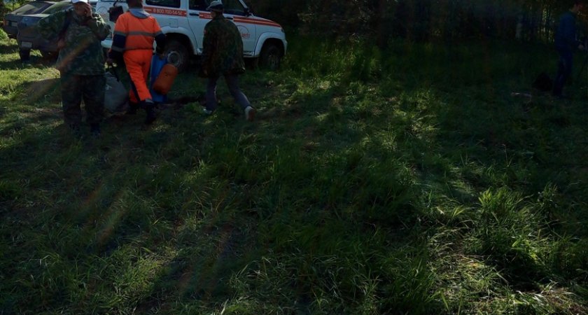 В Кирово-Чепецке в лесу пропал человек