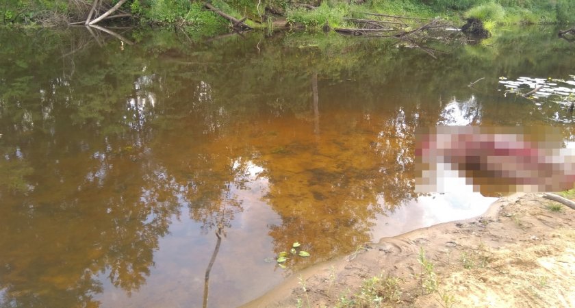 В Кировской области из воды достали труп мужчины, тела еще двух утонувших ищут