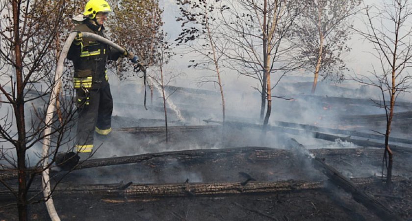 Огонь приближается: в Кировской области введен особый противопожарный режим