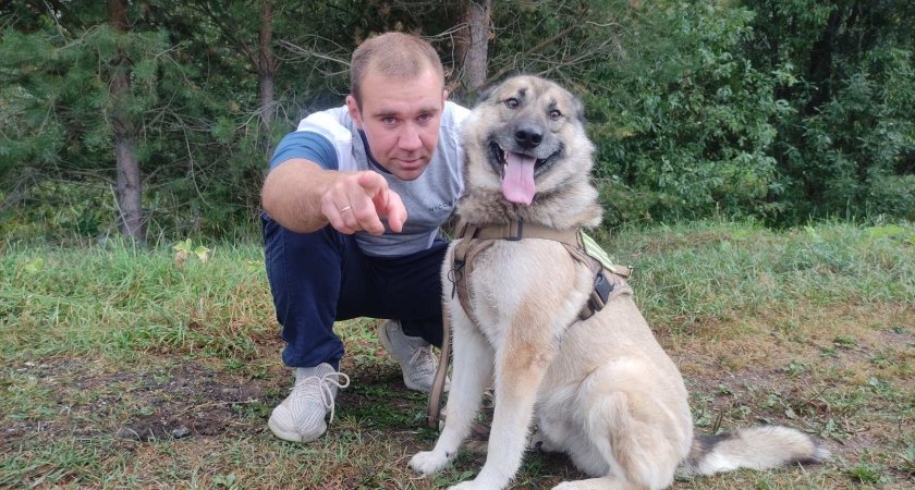 Пес из Чепецкого района спас семью: как прошло награждение героя