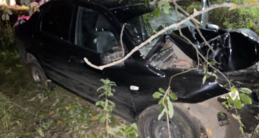 В Кировской области наезд машины на дерево стал смертельным для водителя