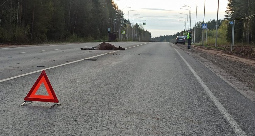 Водителей Чепецка предупреждают об опасности на дорогах