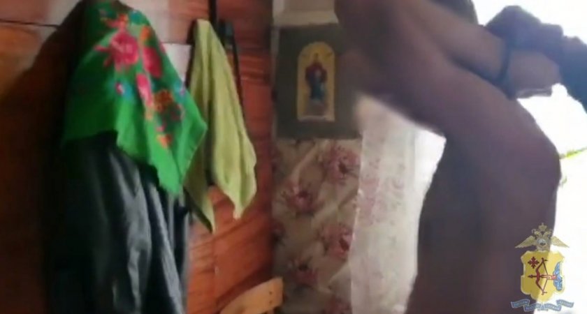 Мужчина распространял детскую порнографию с девочками из Кировской области